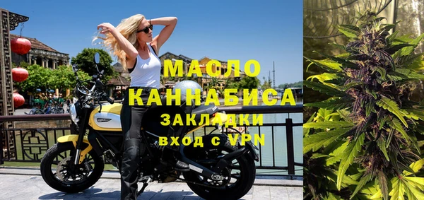 индика Медвежьегорск