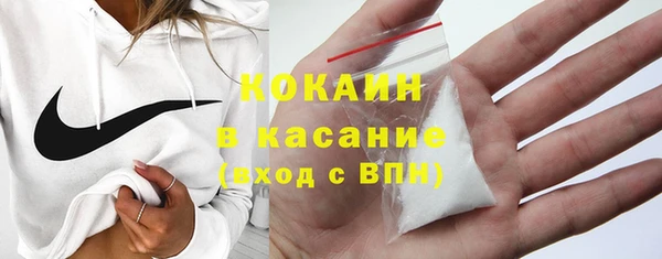 индика Медвежьегорск