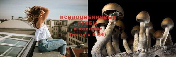 ECSTASY Медногорск