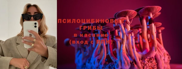 индика Медвежьегорск