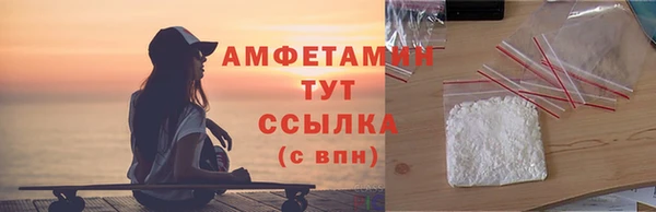 индика Медвежьегорск