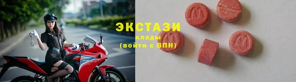 индика Медвежьегорск