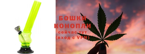 индика Медвежьегорск