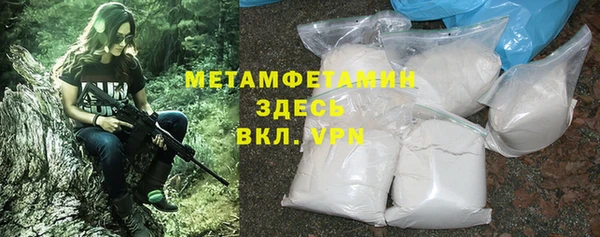 индика Медвежьегорск