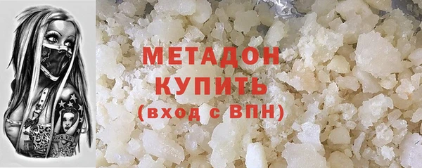 индика Медвежьегорск
