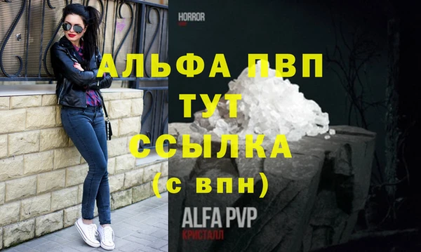 индика Медвежьегорск