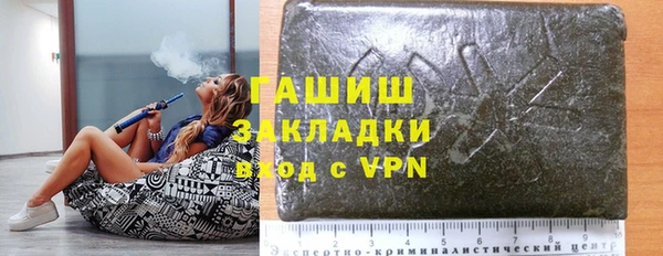 индика Медвежьегорск