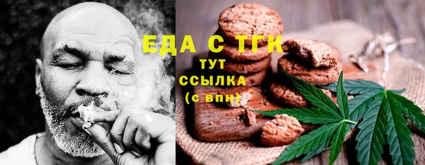 индика Медвежьегорск