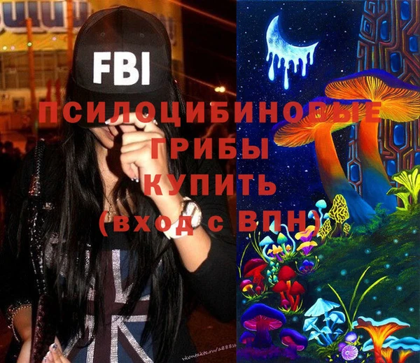 индика Медвежьегорск