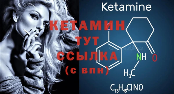 индика Медвежьегорск