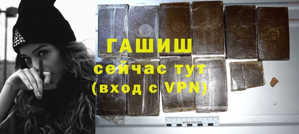 индика Медвежьегорск