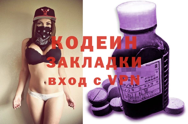 индика Медвежьегорск