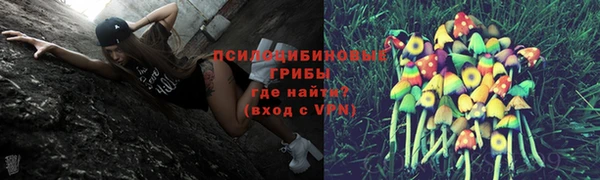 герыч Мегион