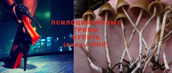 ECSTASY Медногорск