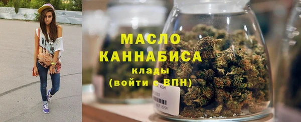 индика Медвежьегорск