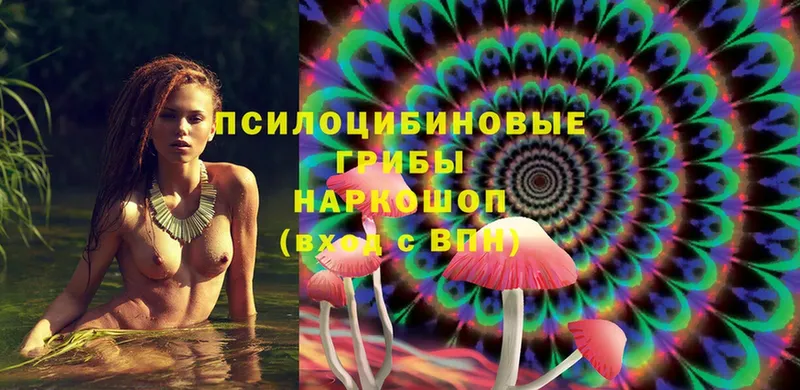 Псилоцибиновые грибы Magic Shrooms Багратионовск