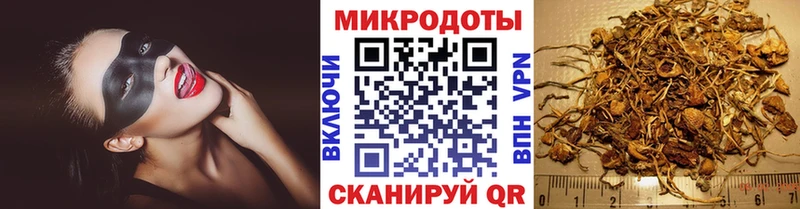 Галлюциногенные грибы мухоморы  Багратионовск 